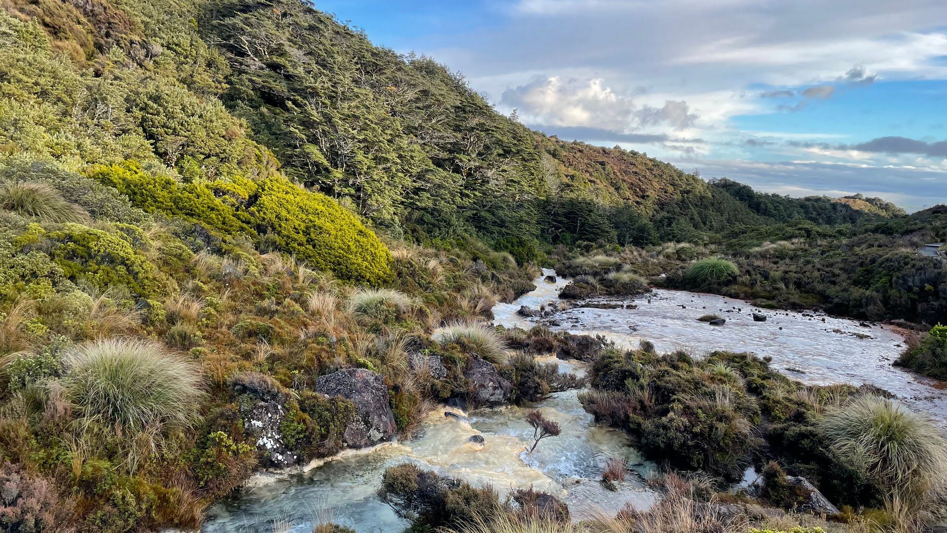 View From The  Silica Rapids Walk B - Visit Ruapehu.jpg